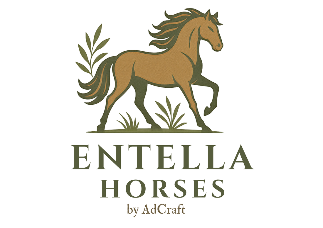 ENTELLA HORSES
